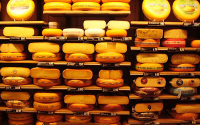 Peynirin Faydaları Nelerdir? Türk ve Dünya Mutfağından Peynir İsimleri