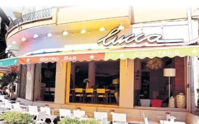 Neden Bebek Barları Arasında Lucca En İyisi?