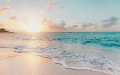 Discover the Best Restaurants in Carmel by the Sea, California: A Culinary Journey